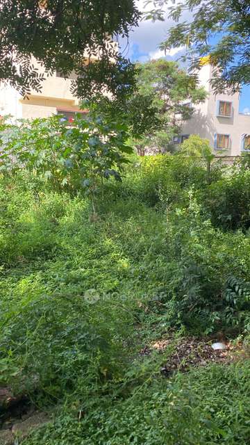 Plot For Sale  In Sai Gardens Layout In Sadarmangala Main Road