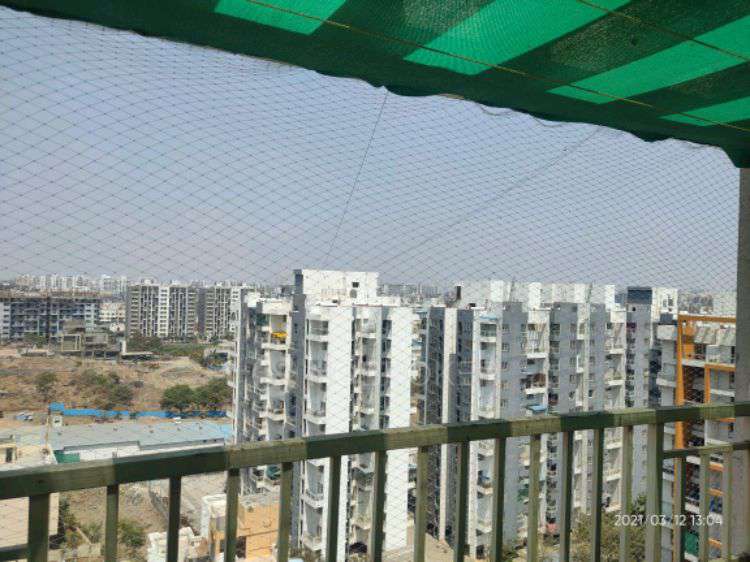 2 BHK Flat In Venkatesh Oxy Evolve for Rent  In Wagholi