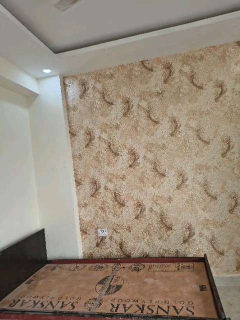 PG for Anyone in  Sector 1 