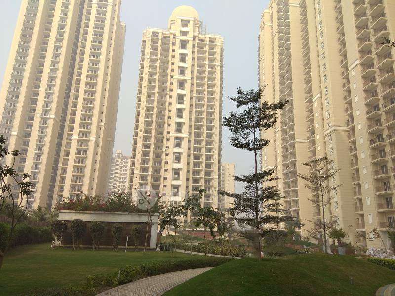 4+ BHK Flat In Ats Dolace Sector Zeta 1 For Sale  In Zeta I