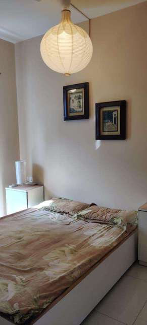 1 BHK Flat In Grooves for Rent  In Hinjawadi