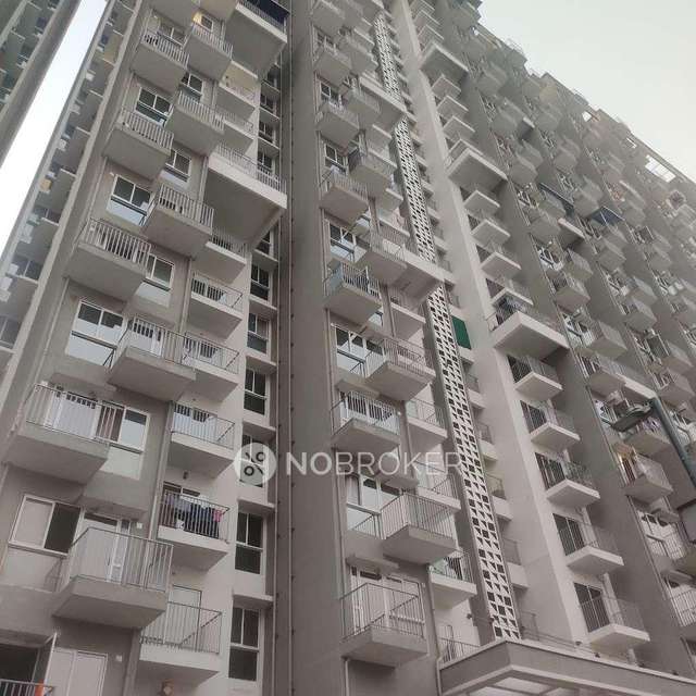 1 BHK Flat In Godrej Hillside 2 for Rent  In Mahalunge