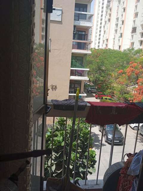 1 BHK Flat In Eldeco Mystic Greens For Sale  In Omicron I