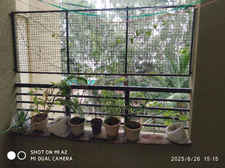 1 BHK Flat In Rama Erande Amrutvel Greens  for Rent  In Kirkatwadi