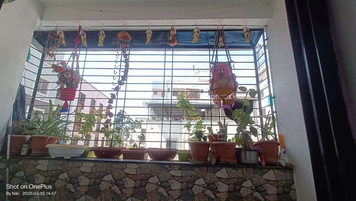 1 BHK Flat In Sairuddhi Apartment For Sale  In Jambulwadi Rd