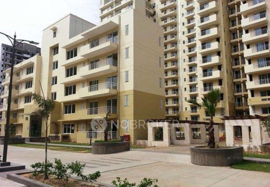 3 BHK Flat In Chd Avenue 71 For Sale  In Chd Avenue 71