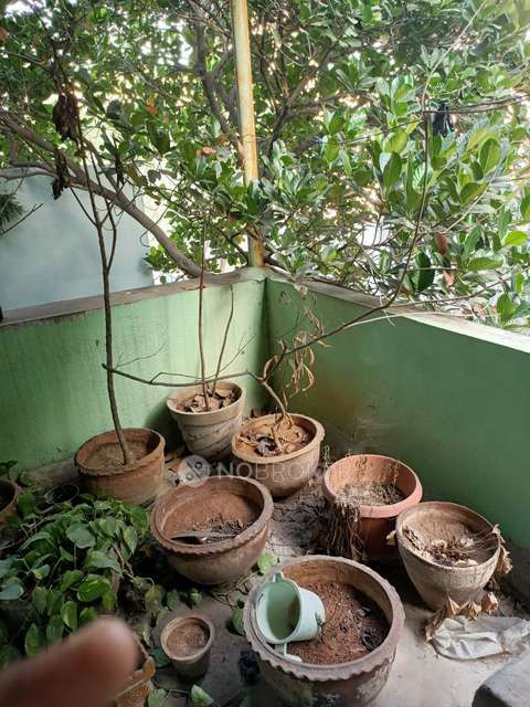 2 BHK Flat In Hari Priya Homes For Sale  In Saligramam,