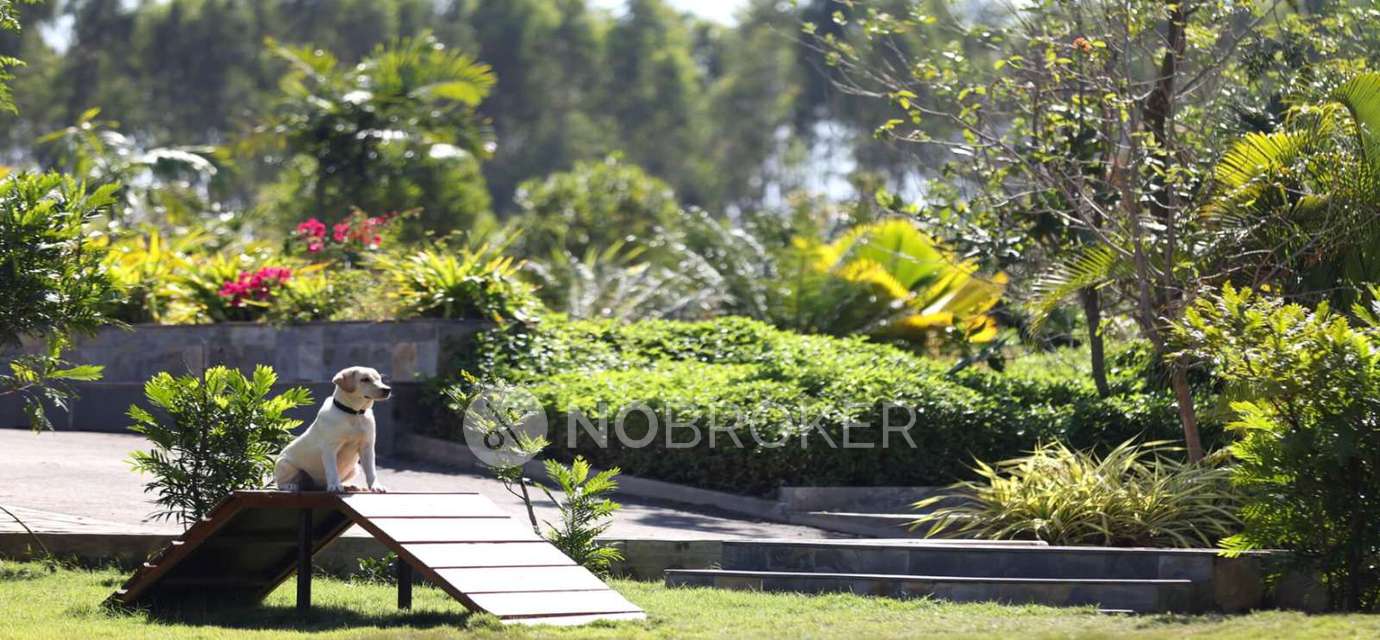 Plot For Sale  In Spa Eco City In Spa Ecocity