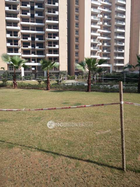 3 BHK Flat In Tulip Violet For Sale  In Sector 69