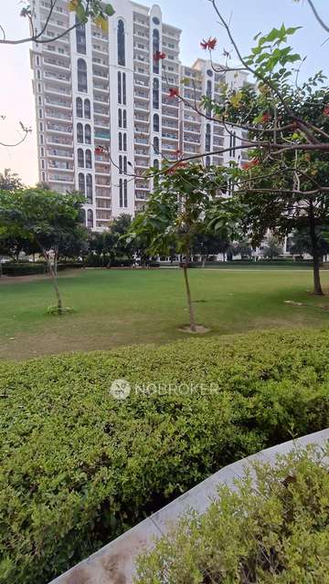 3 BHK Flat In Dlf New Town Heights, Sector 91 For Sale  In Sector 91