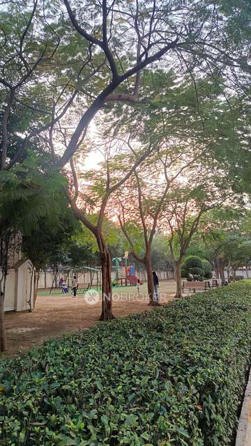 3 BHK Flat In Dlf New Town Heights, Sector 91 For Sale  In Sector 91