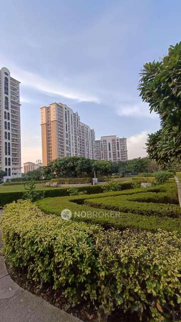 3 BHK Flat In Dlf New Town Heights, Sector 91 For Sale  In Sector 91