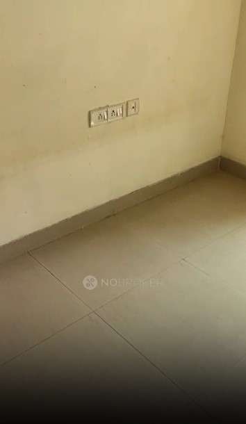 1 BHK Flat In R Euphoria for Rent  In Kondwa