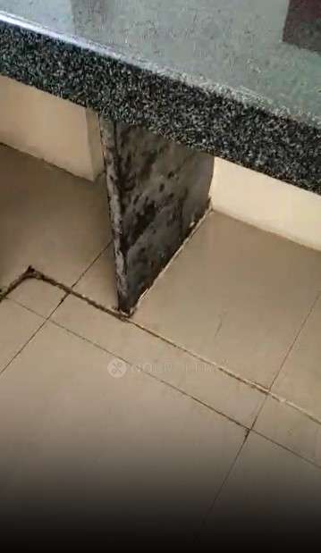 1 BHK Flat In R Euphoria for Rent  In Kondwa