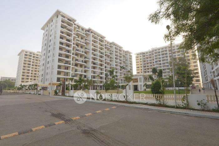 3 BHK Flat In Kolte Ivy Estate Apartment for Rent  In Wagholi
