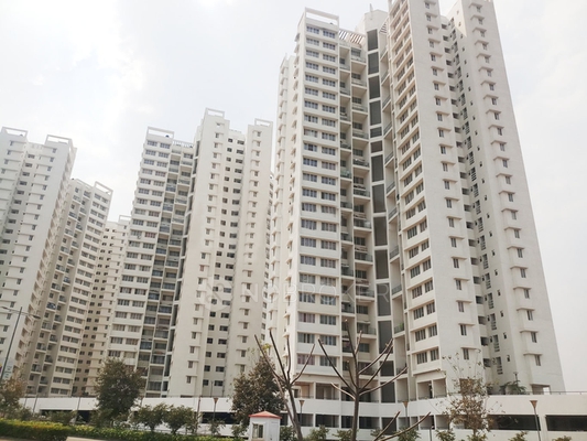 2 BHK Flat In Kolte Patil Life Republic for Rent  In Hinjewadi