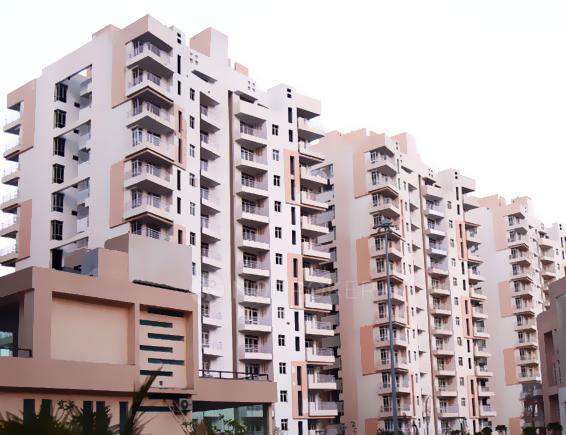 3 BHK Flat In Raheja Shilas  for Rent  In Sector 109