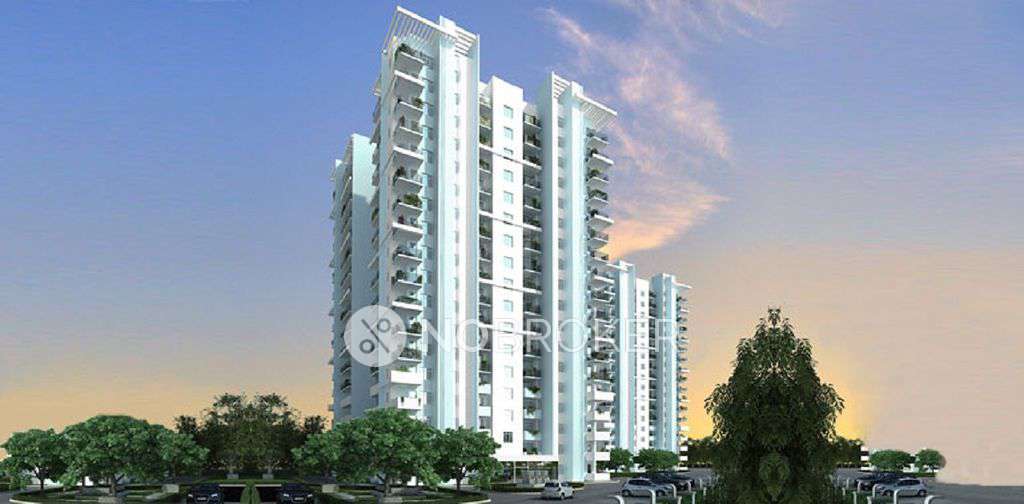 3 BHK Flat In Godrej Summit for Rent  In Sector 104