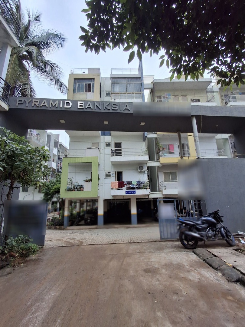 Pyramid Banksia & Mahika