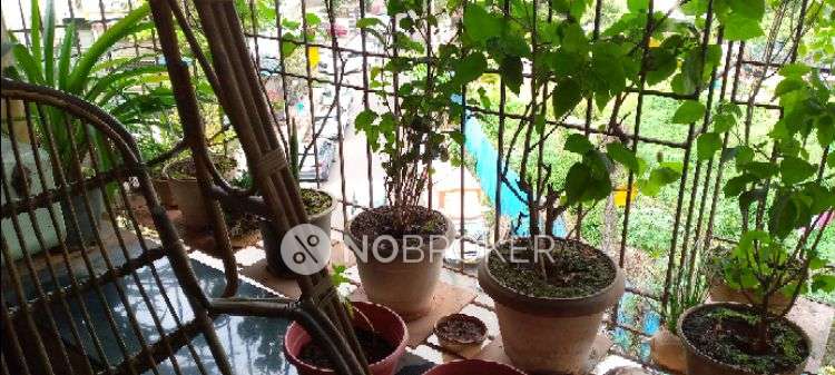 1 BHK Flat In Seawoods Avenue  For Sale  In Kharghar