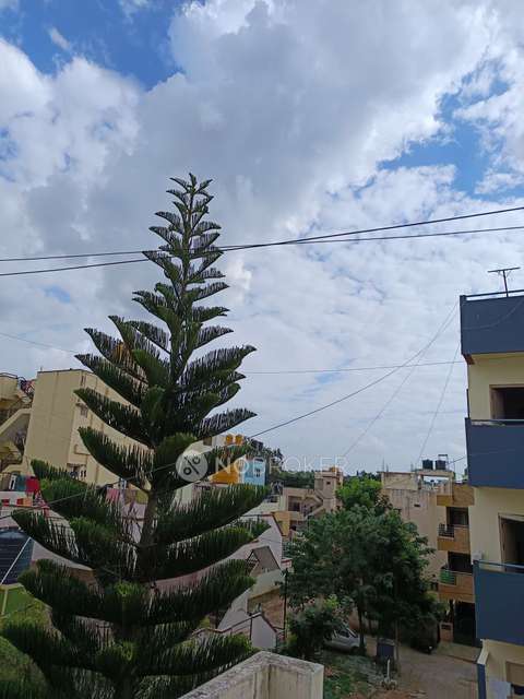 4+ BHK House For Sale  In Abbigere