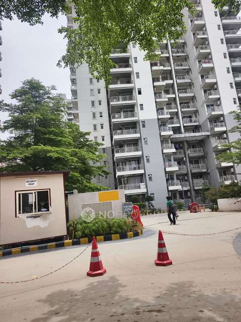 3 BHK Flat In Godrej Summit For Sale  In Sector 104