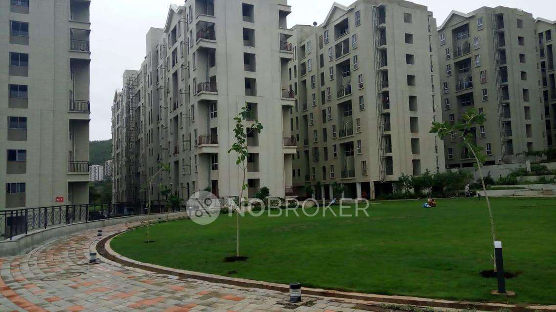 1 BHK Flat In Hinjewadi Hills Coprative Housing Socitey  for Rent  In Hinjewadi