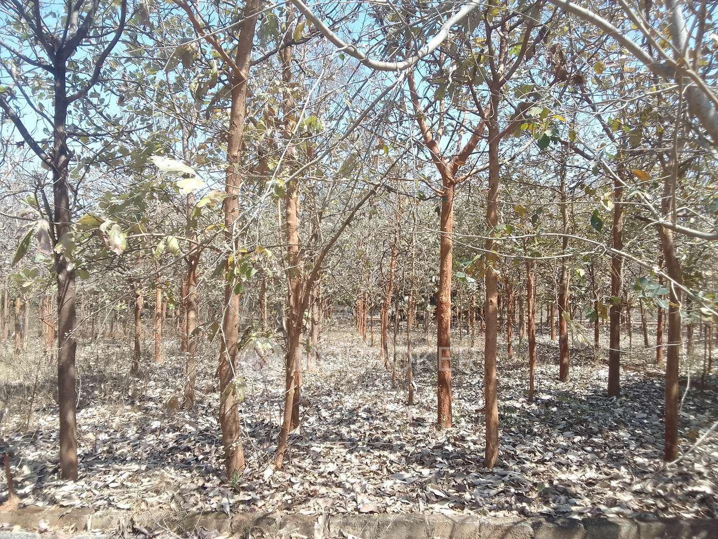 Plot For Sale  In Yennigere