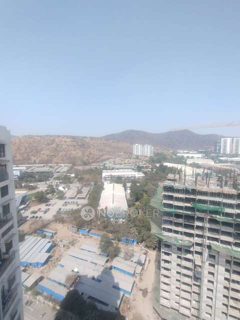 2 BHK Flat In Gera Adara for Rent  In Hinjewadi