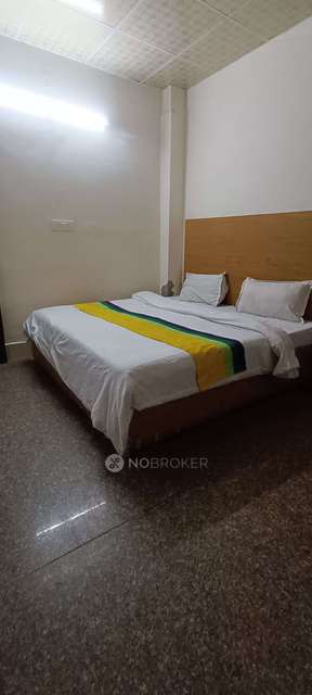 PG for Anyone in Sector 55