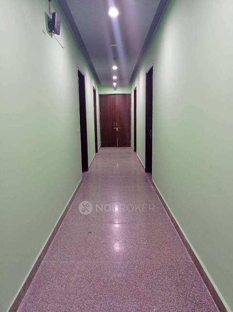 PG for Anyone in Sector 55