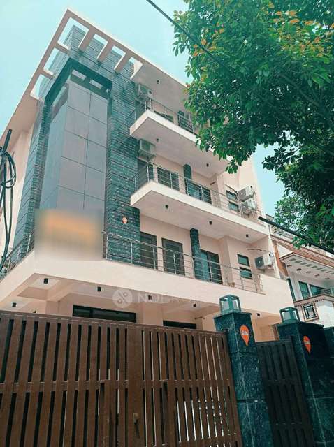 PG for Anyone in Sector 55