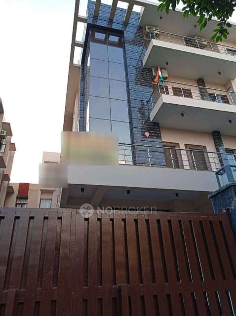 PG for Anyone in Sector 55