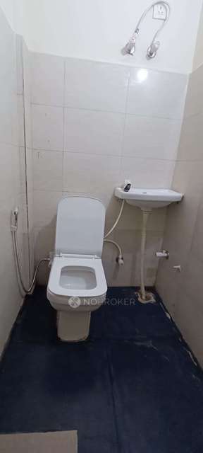 PG for Anyone in Sector 55