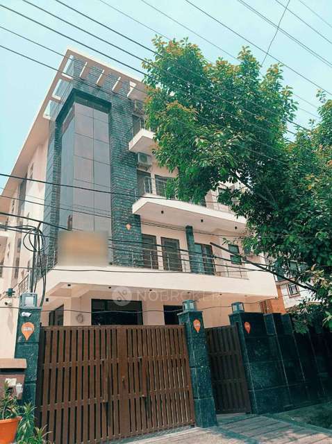 PG for Anyone in Sector 55