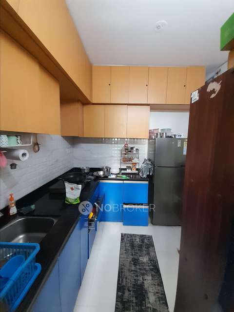 2 BHK Flat In Sai Paradise for Rent  In Punawale
