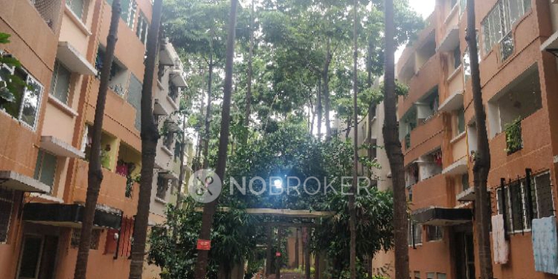 3 BHK Flat In Purva Fairmont Apartment for Rent  In Hsr Layout