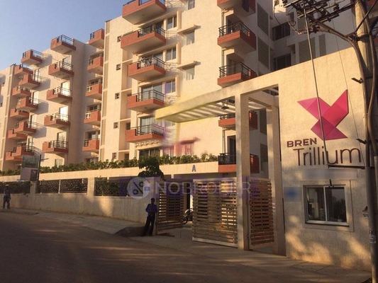 3 BHK Flat In Sjr Bren Trillium For Sale  In Rayasandra