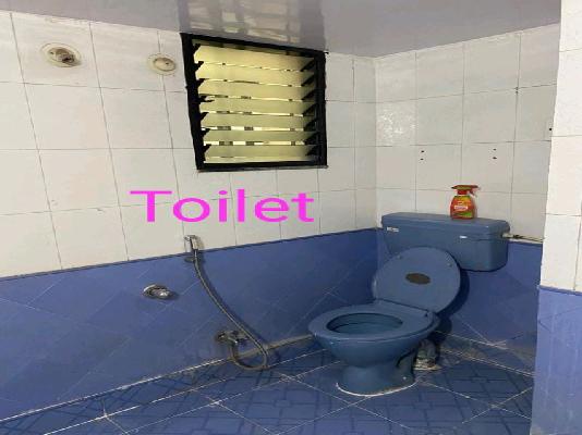 1 BHK Flat In Suryadarshan Apartment for Rent  In Kothrud