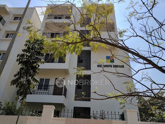 3 BHK Flat In Bel White Square Apartments for Rent  In Vidyaranyapura