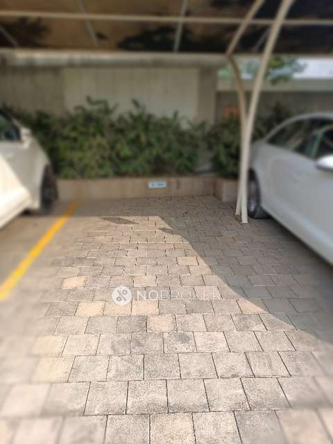 2 BHK Flat In 43 Privet Drive for Rent  In Balewadi