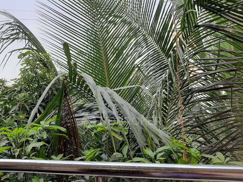 2 BHK Flat In Standalone Builung  for Rent  In Jagathgiri Gutta