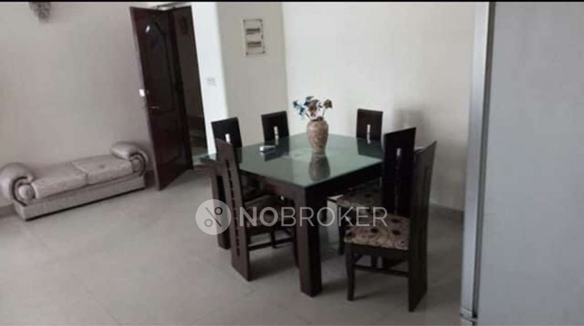 Single Room for Female In 4 BHK  In Dlf Belvedere Park In Sector-24