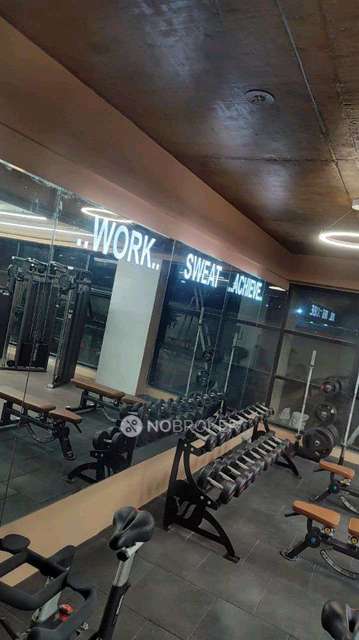 2 BHK Flat In Pride Purple Park Connect for Rent  In Hinjewadi