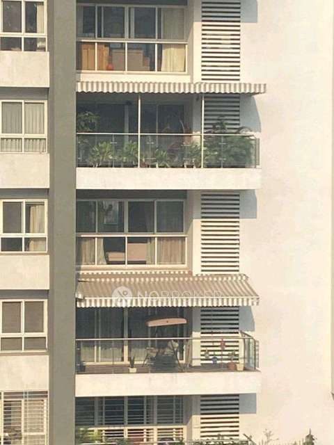 2 BHK Flat In Pride Purple Park Connect for Rent  In Hinjewadi