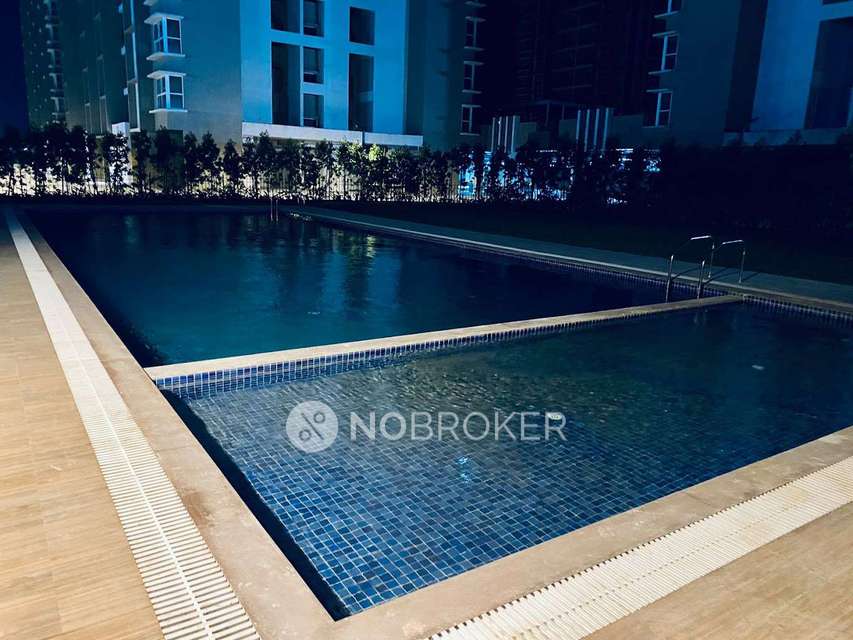2 BHK Flat In Pride Purple Park Connect for Rent  In Hinjewadi