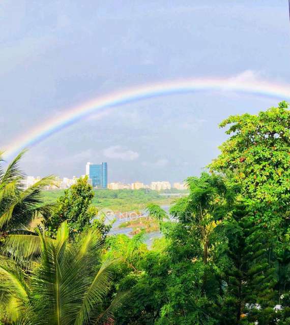 3 BHK Flat In Confidential for Rent  In Jogger's Park