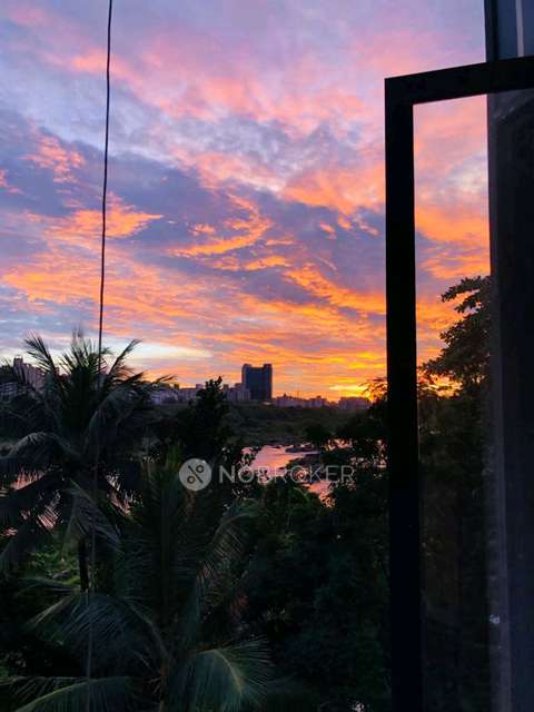 3 BHK Flat In Confidential for Rent  In Jogger's Park