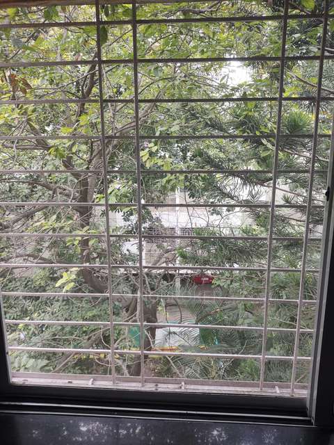 1 BHK Flat In Sneha Vrinda Apartment for Rent In Bavdhan