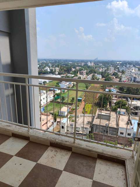 1 BHK Flat In Shree Morya One for Rent  In Kunjirwadi